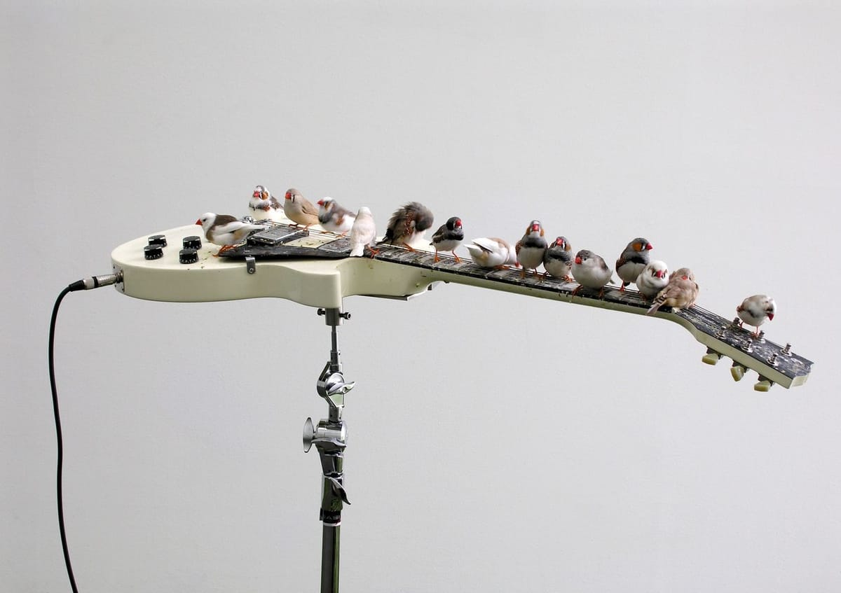 Artwork Title: From Here to Ear