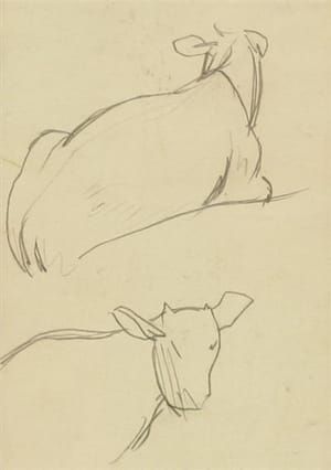 Artwork Title: Study of Cows