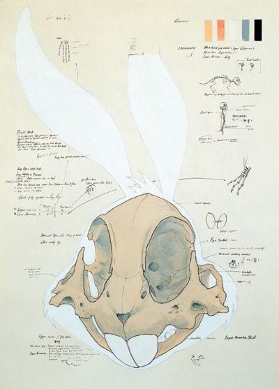 Artwork Title: Bugs Bunny Skull
