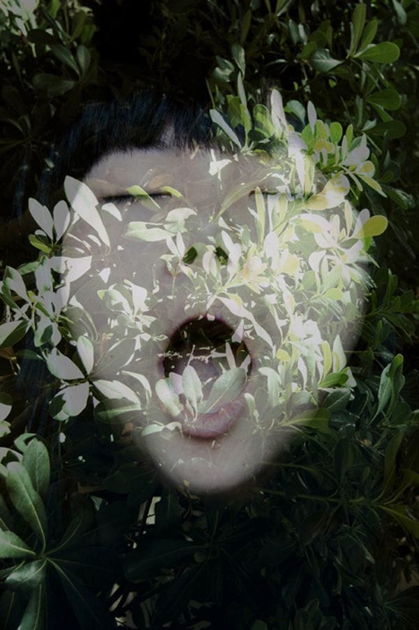 Artwork Title: undefined