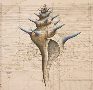 Artwork Title: Fibonacci sequence shell
