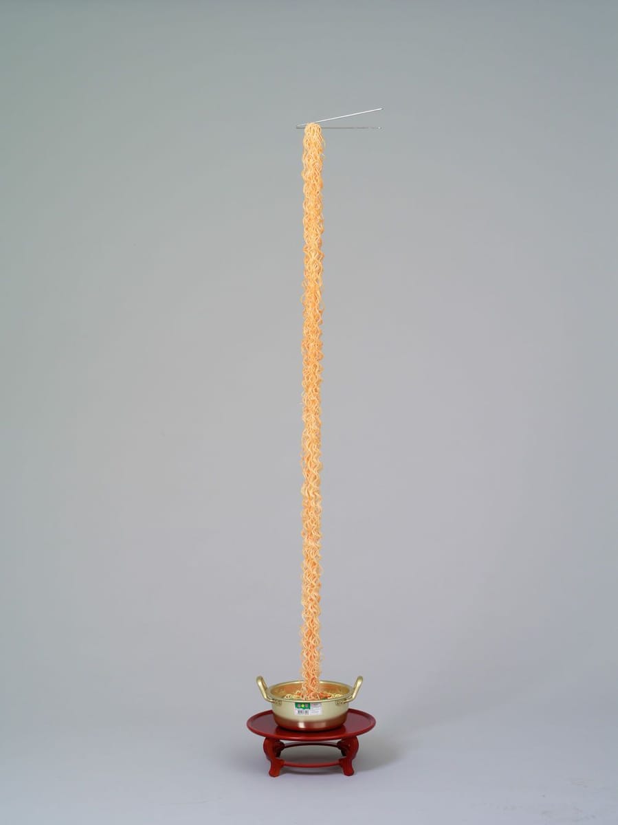 Artwork Title: Noodle sculpture