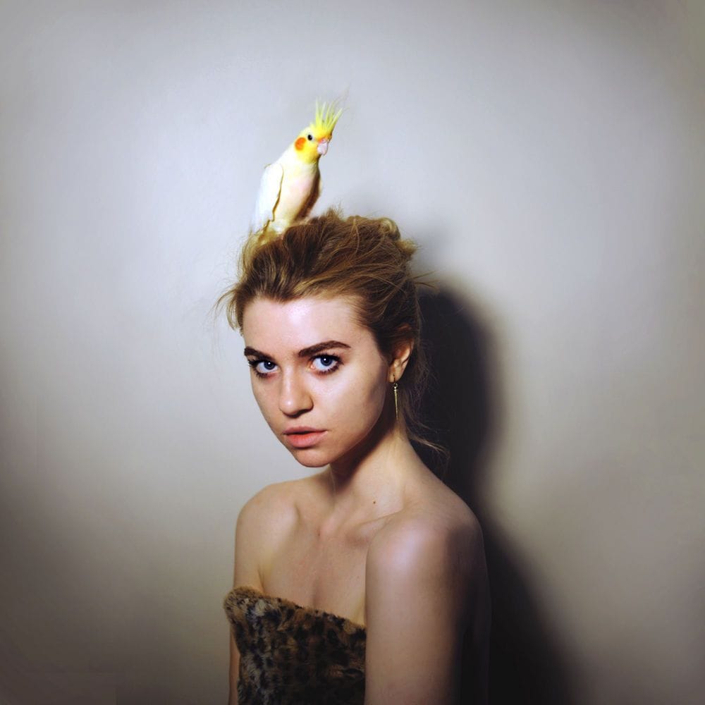 Artwork Title: undefined