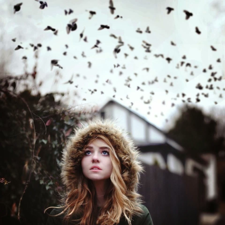 Artwork Title: undefined