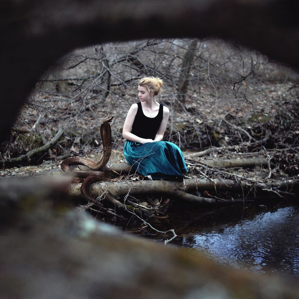 Artwork Title: undefined