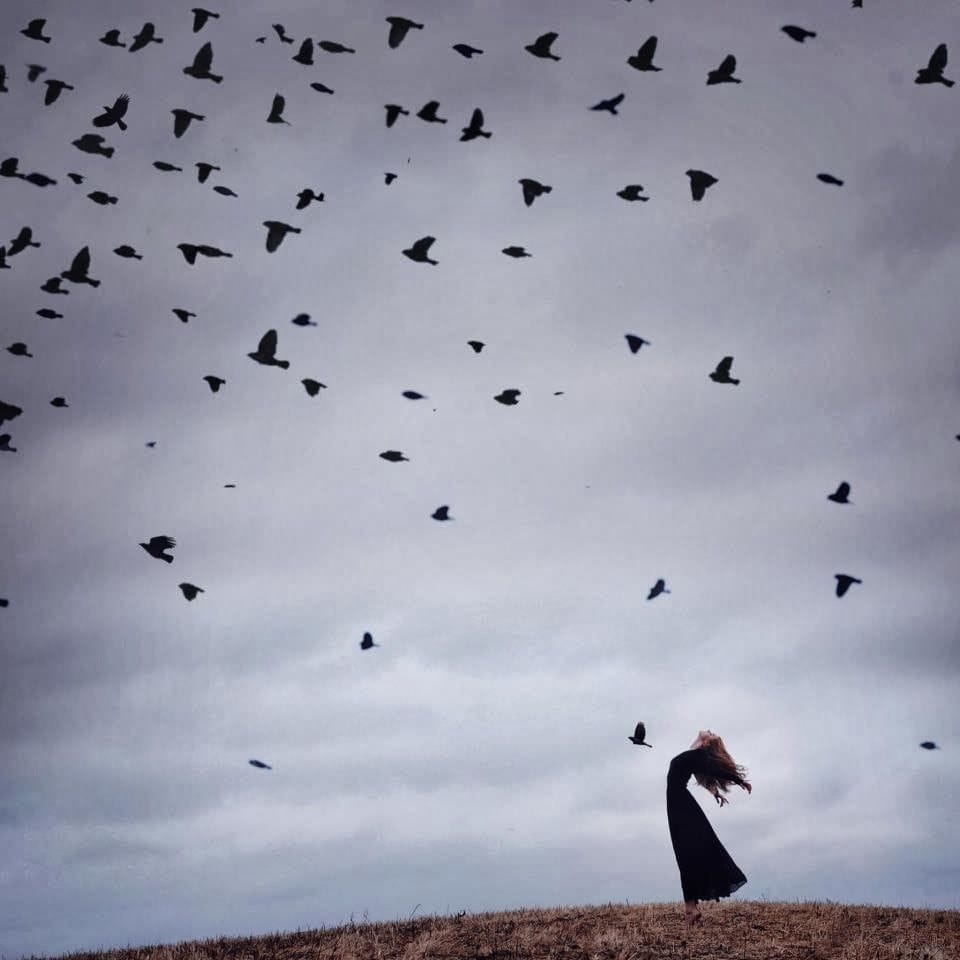 Artwork Title: undefined