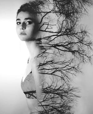 Artwork Title: Untitled