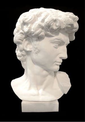 Artwork Title: Bust of David
