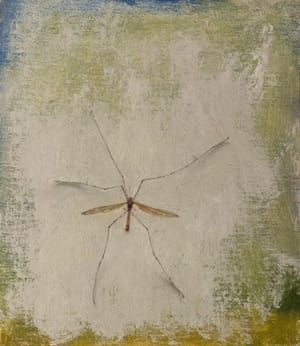 Artwork Title: Crane Fly