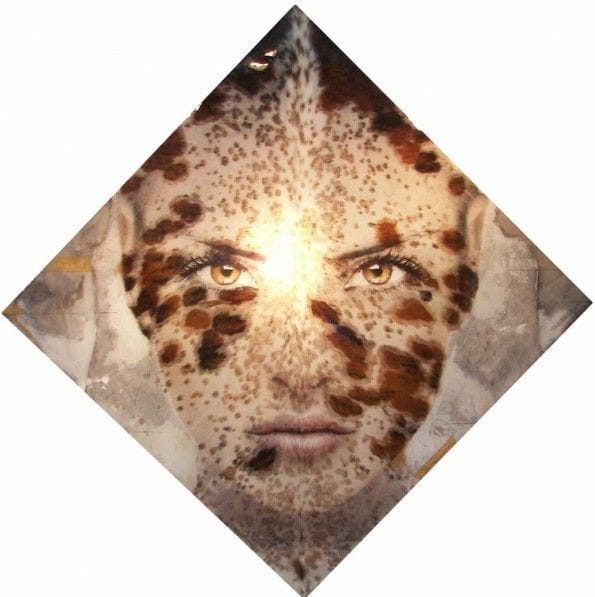 Artwork Title: Hybrid Mr1