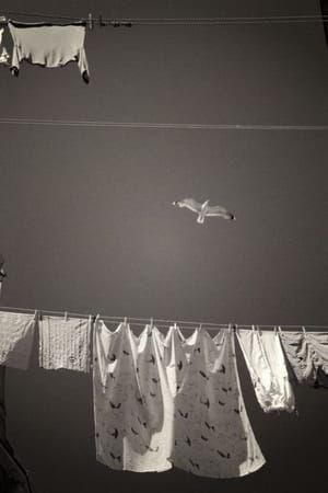 Artwork Title: Laundry Day In Venice