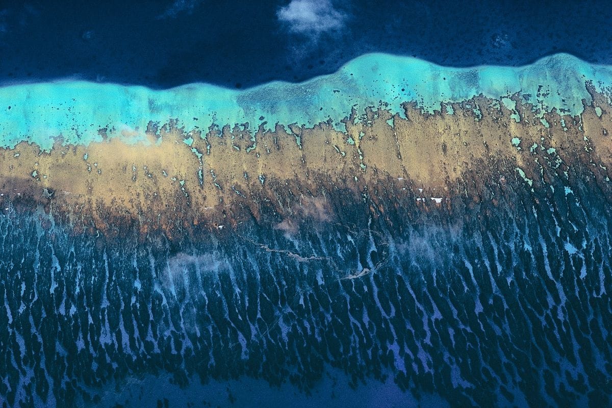 Artwork Title: Duff Reef in the Lau Group of Islands