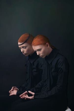 Artwork Title: Ad Vivum - The Twins