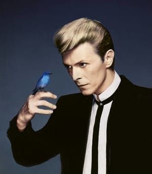 Artwork Title: Blue Bird - Tribute To David Bowie