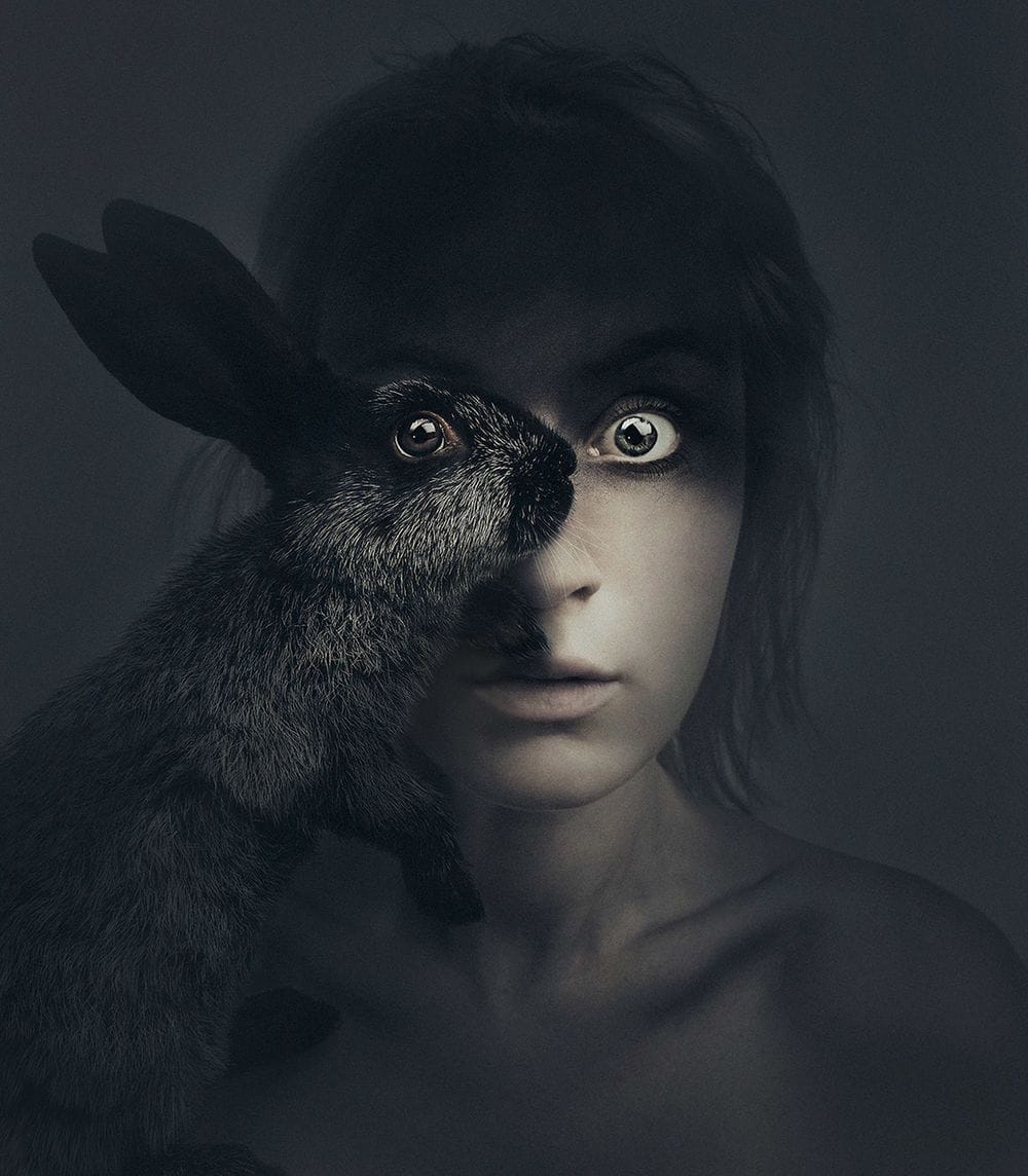 Artwork Title: Animeyed - Rabbit In Your Headlights