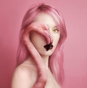 Artwork Title: Animeyed - Flamingo