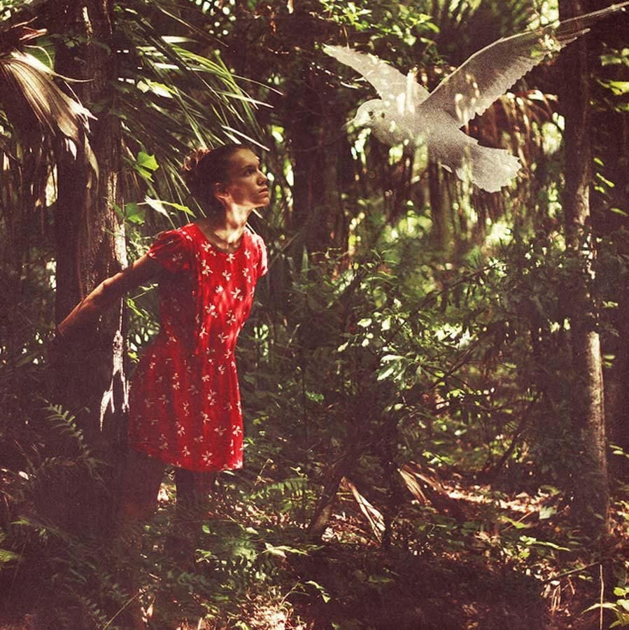 Artwork Title: undefined