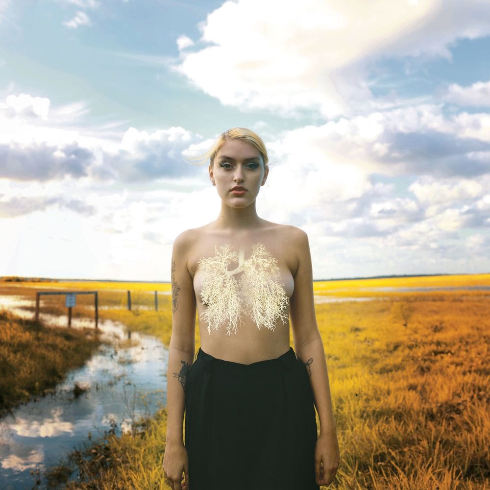 Artwork Title: The Resurgence