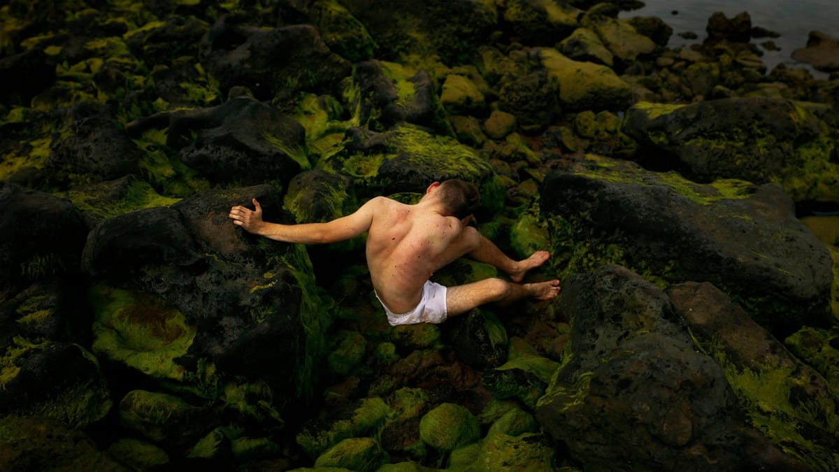 Artwork Title: Imitating Permanence