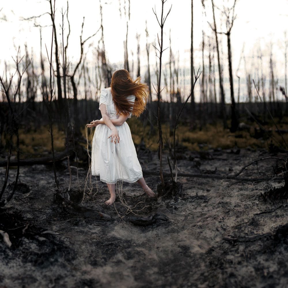 Artwork Title: Terrestrial Connections