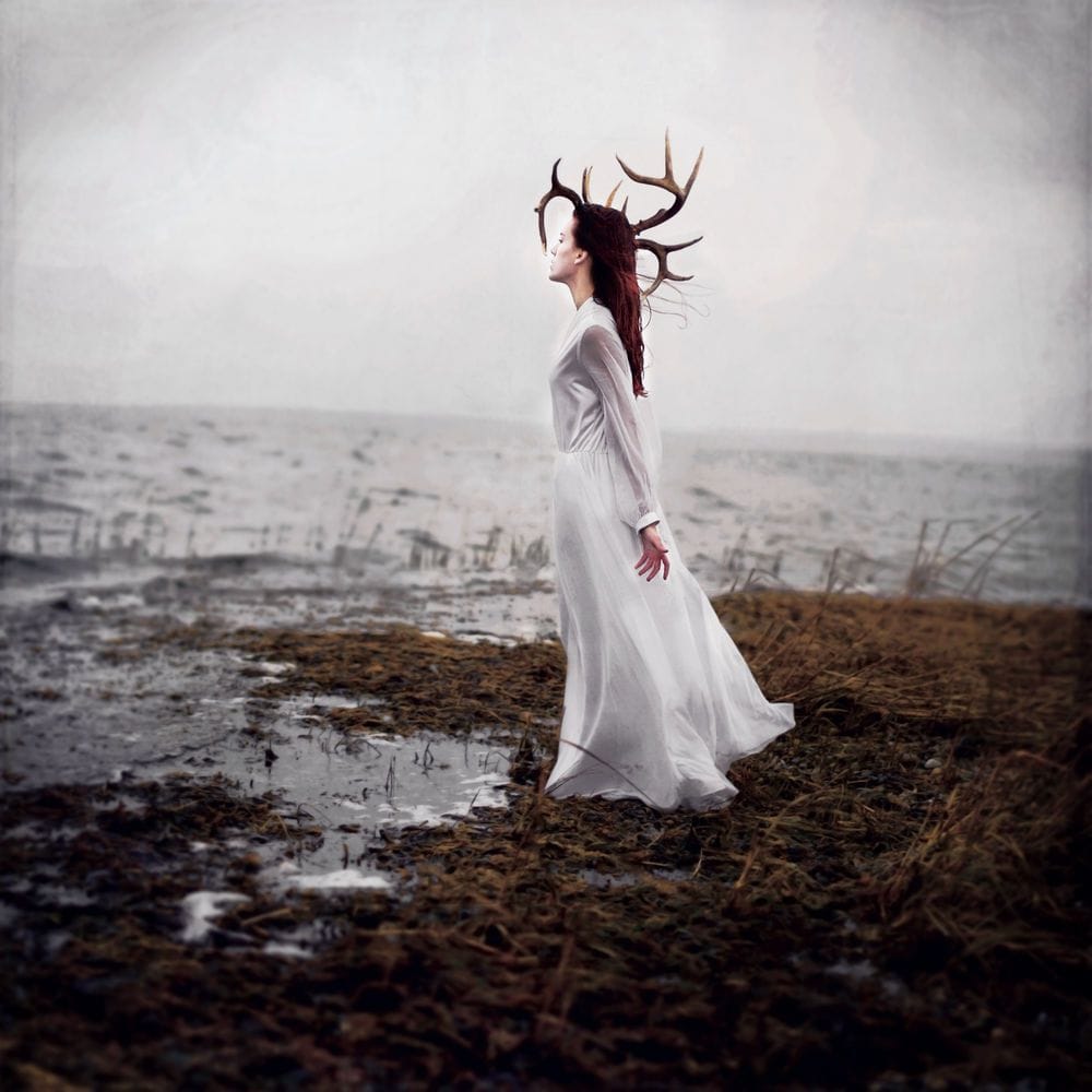 Artwork Title: undefined