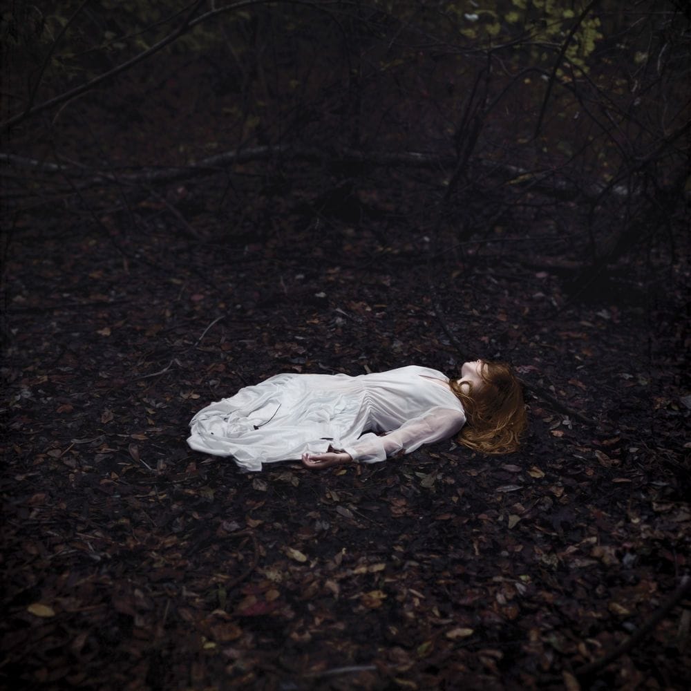 Artwork Title: undefined