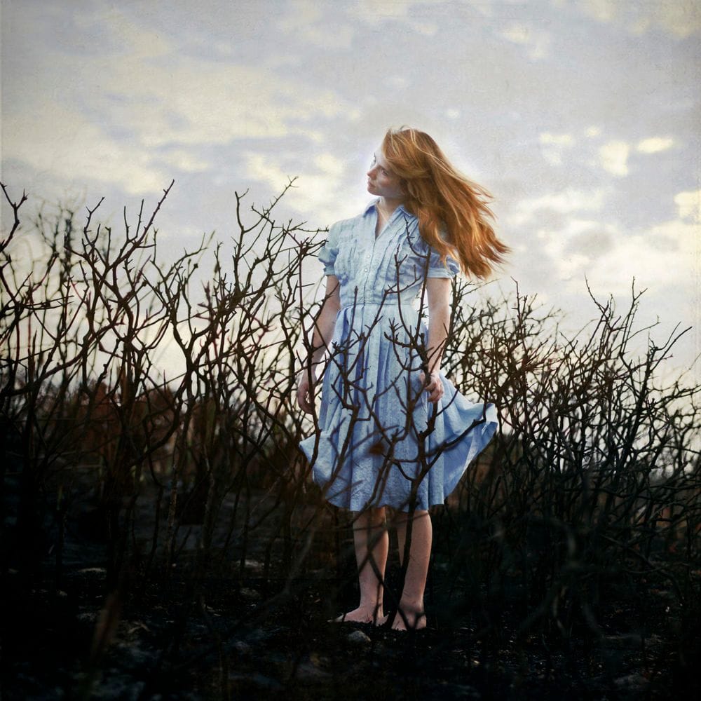 Artwork Title: undefined