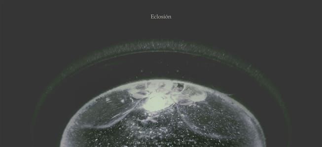 Artwork Title: Eclosión 1