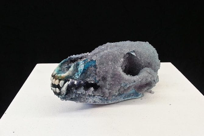 Artwork Title: Coyote Skull