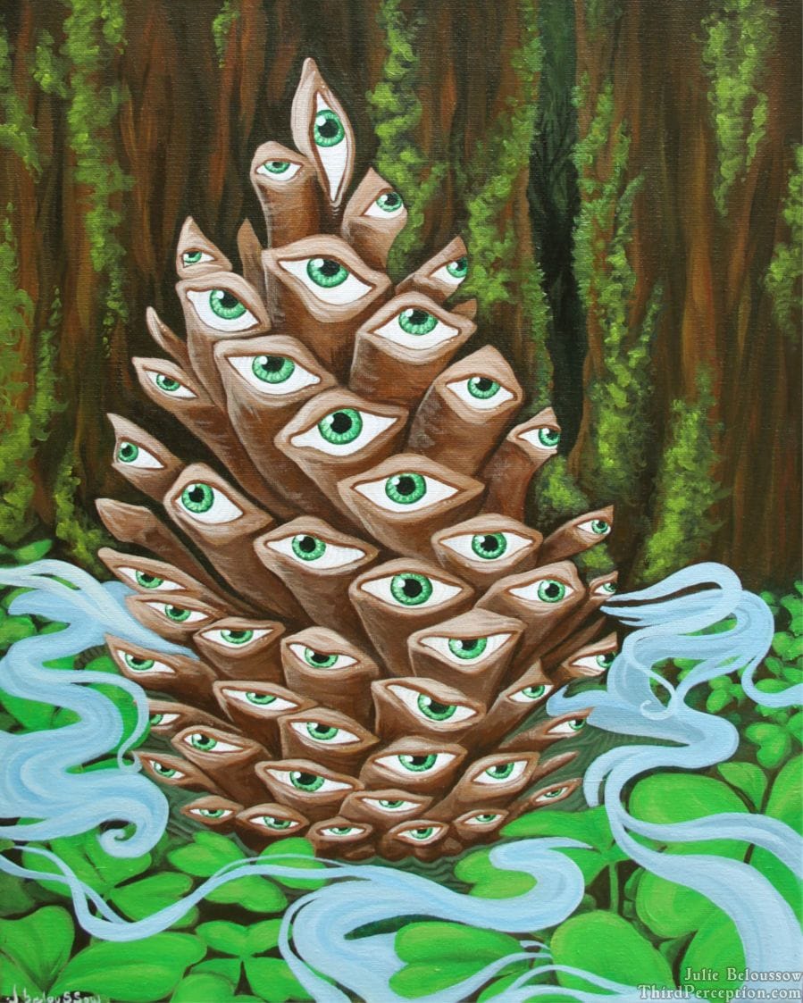 Artwork Title: Pine Alpine Cone