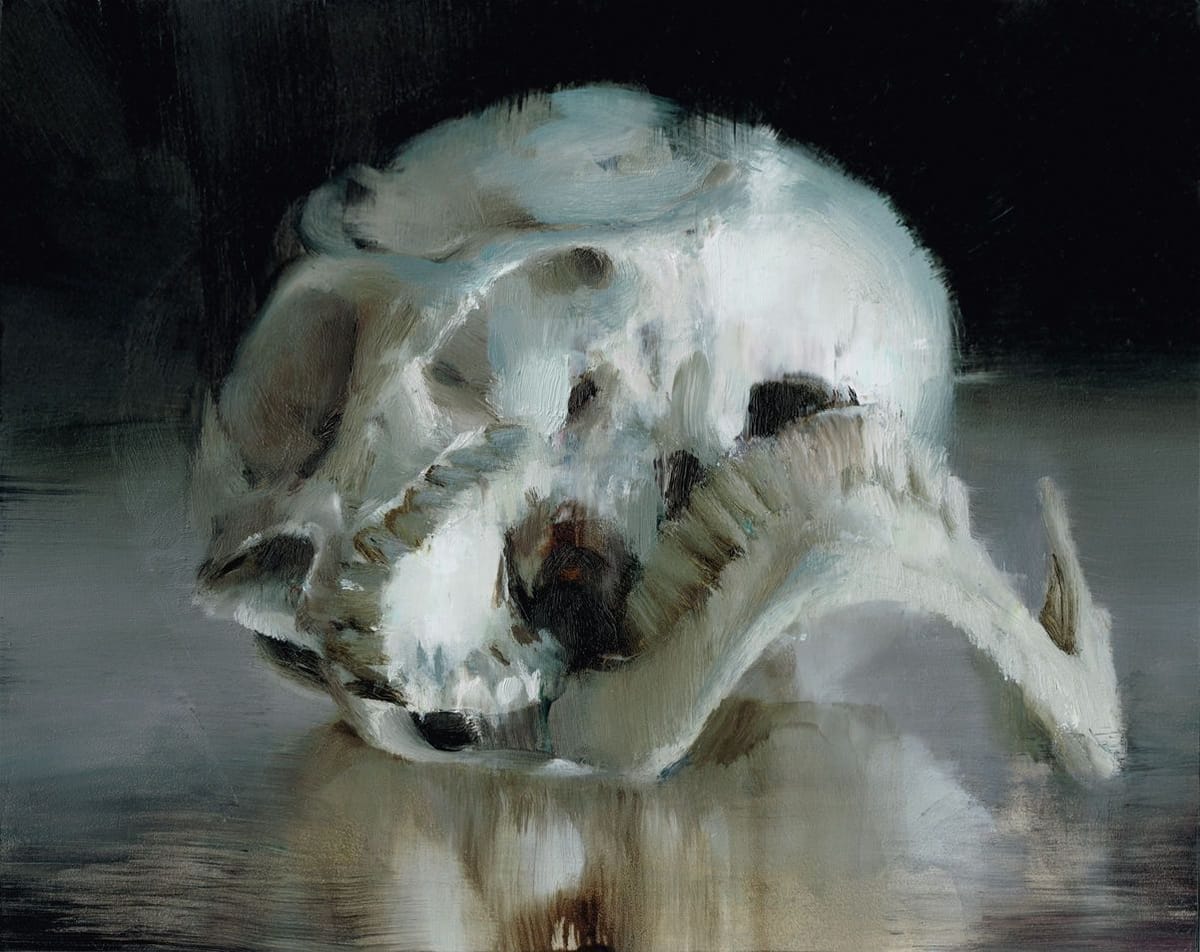 Artwork Title: Study Skull Abstracted