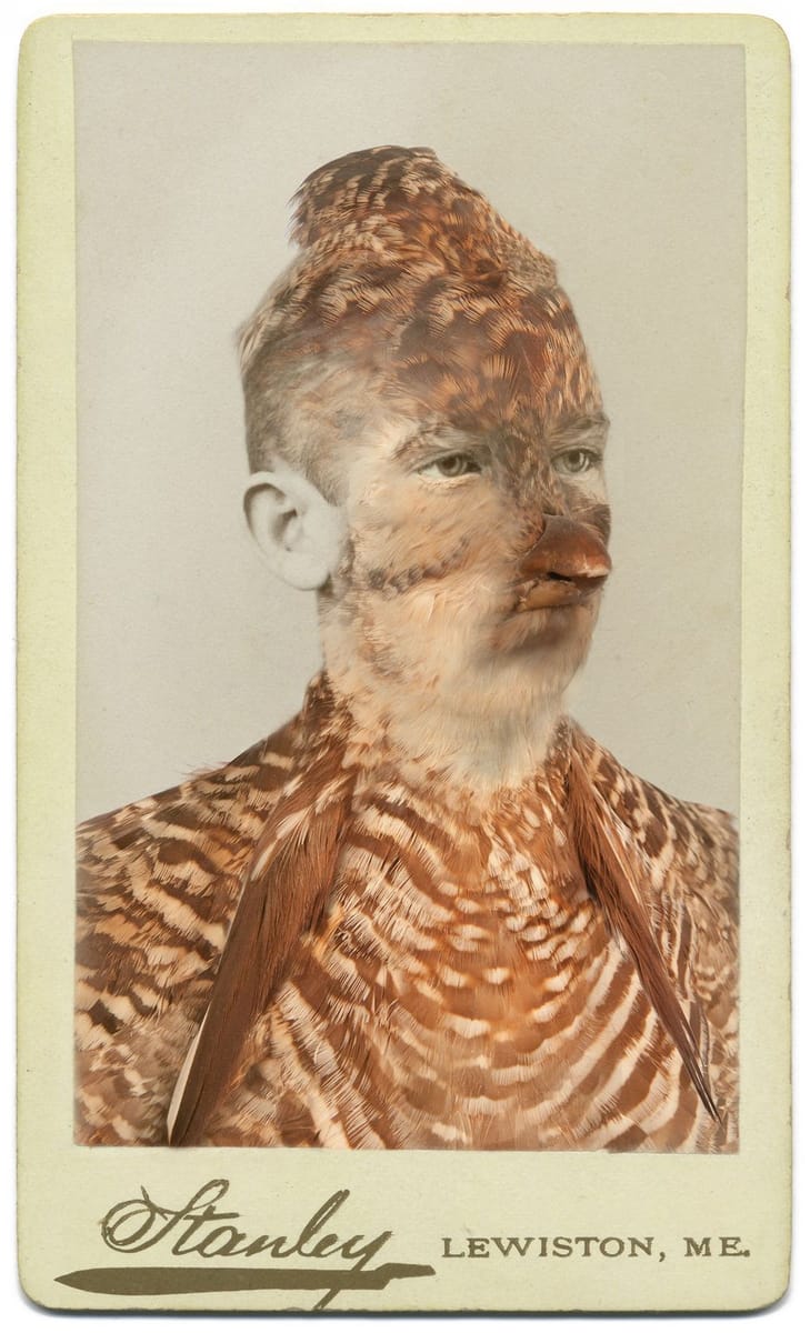 Artwork Title: undefined