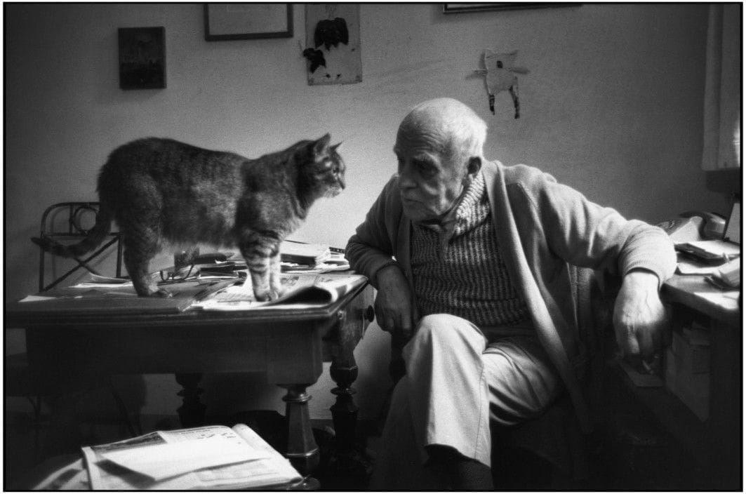Artwork Title: Swiss Sculptor Diego Giacometti at Home with Cat