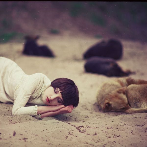 Artwork Title: Bohemian Rhapsody (3)