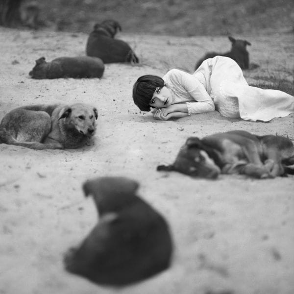 Artwork Title: Bohemian Rhapsody (5)