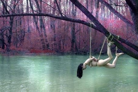 Artwork Title: Observing the stillness of Brenta river