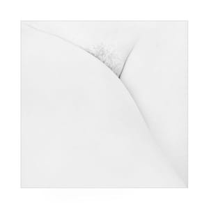 Artwork Title: Untitled