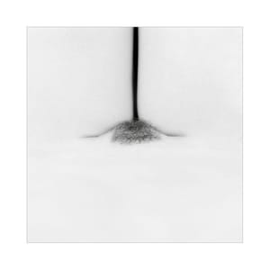 Artwork Title: Untitled