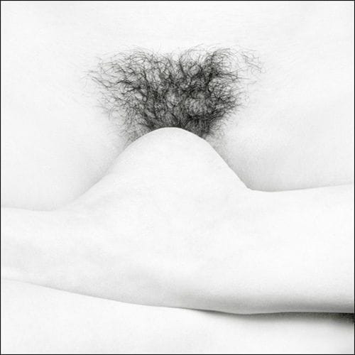 Artwork Title: undefined