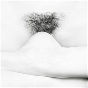 Artwork Title: Untitled