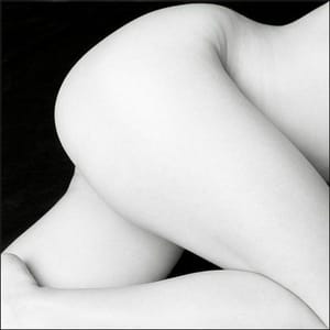 Artwork Title: Untitled