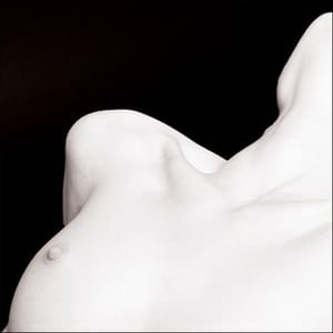 Artwork Title: Untitled