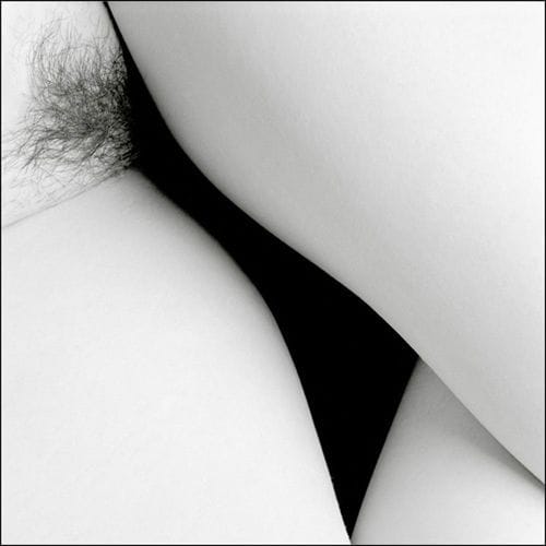 Artwork Title: undefined