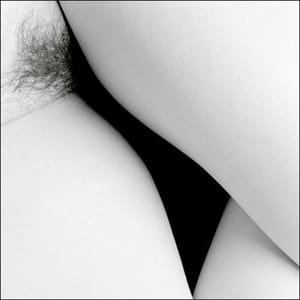 Artwork Title: Untitled