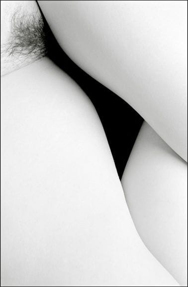 Artwork Title: undefined