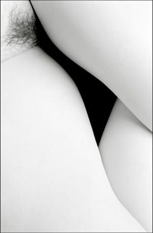 Artwork Title: Untitled