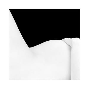 Artwork Title: Untitled