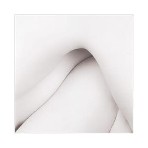 Artwork Title: Untitled