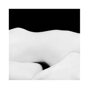 Artwork Title: Untitled