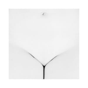 Artwork Title: Untitled